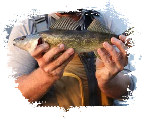 Angler holding a fish